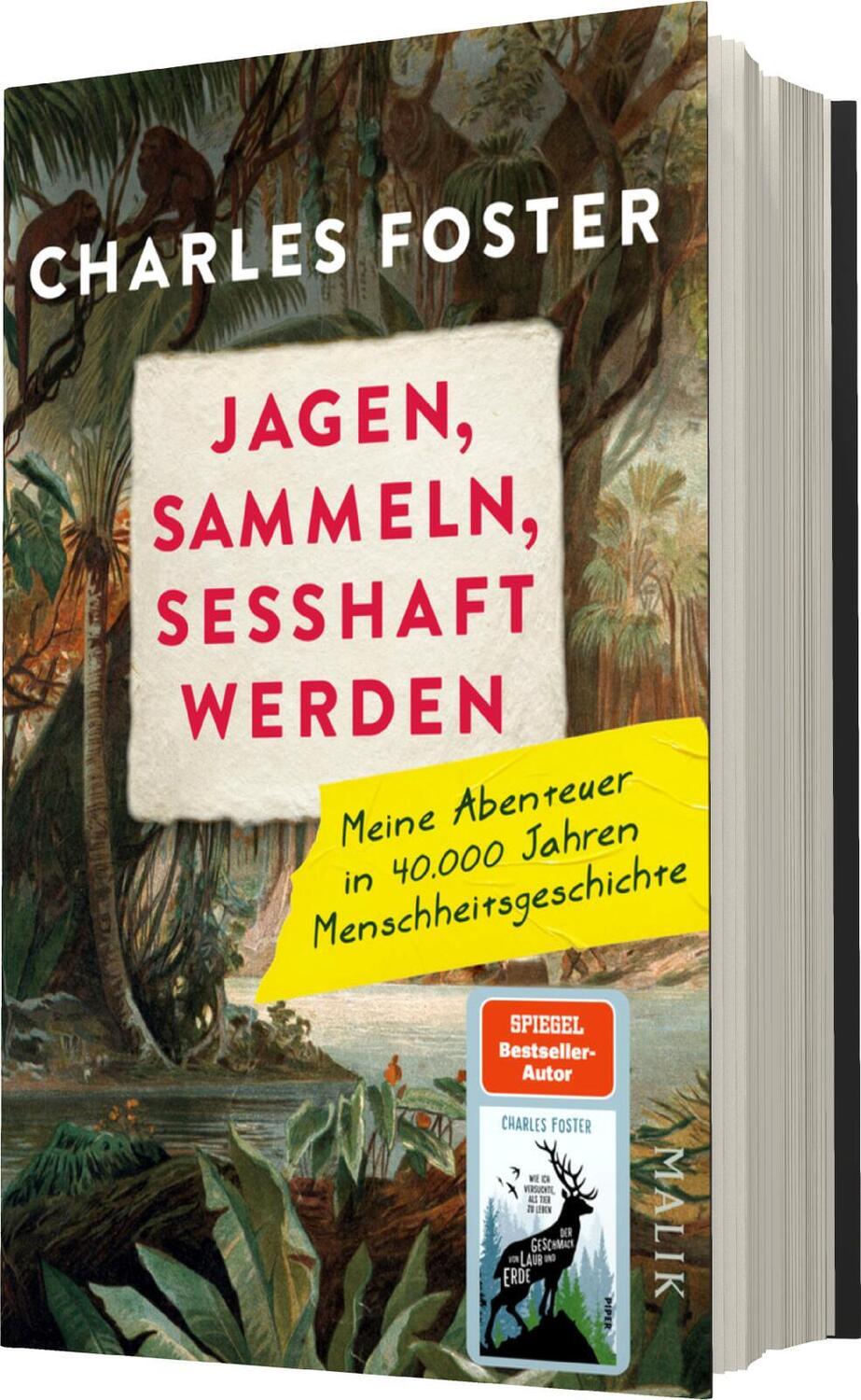 Bild: 9783890295534 | Jagen, sammeln, sesshaft werden | Charles Foster | Buch | 416 S.