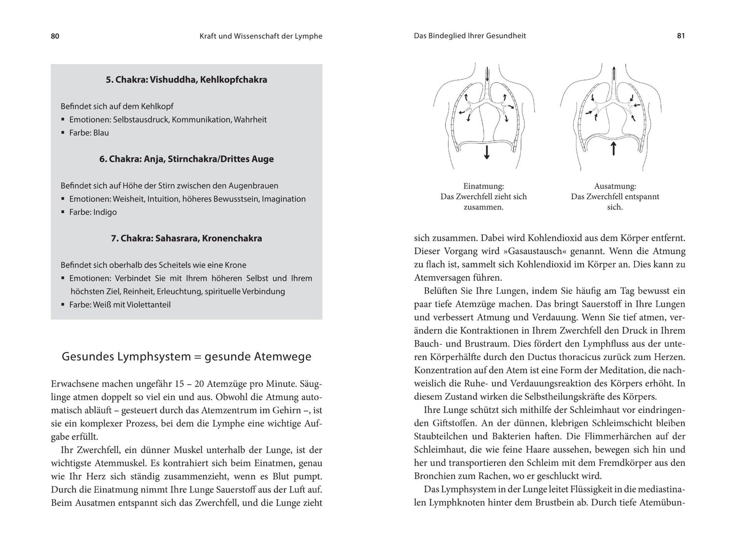 Bild: 9783778793077 | Die heilende Kraft der Lymphe | Lisa Levitt Gainsley | Buch | 368 S.