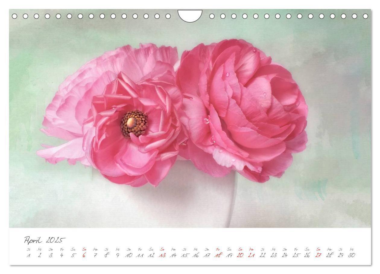 Bild: 9783435667932 | Blüten Poesie (Wandkalender 2025 DIN A4 quer), CALVENDO Monatskalender