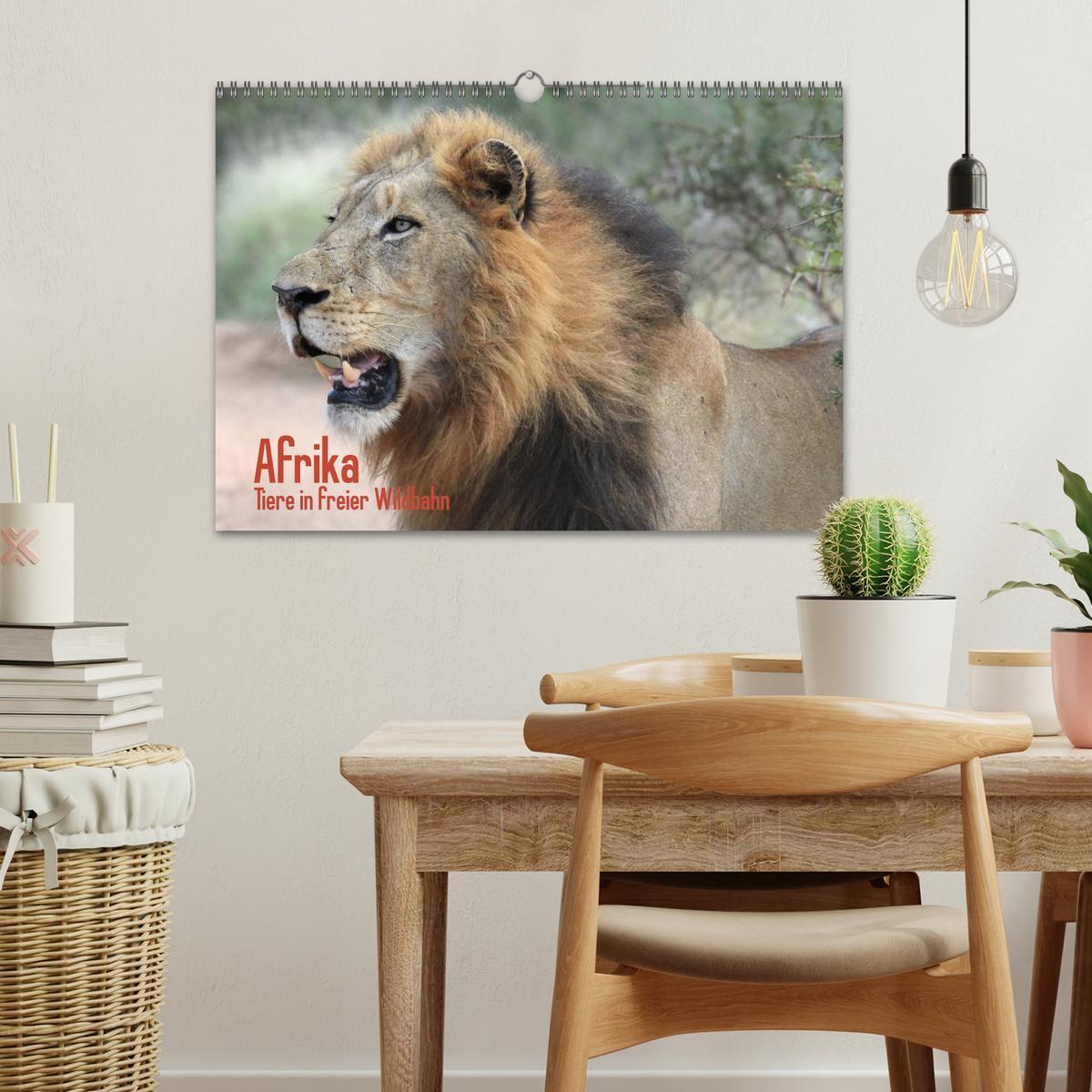 Bild: 9783435493722 | Afrika. Tiere in freier Wildbahn (Wandkalender 2025 DIN A3 quer),...