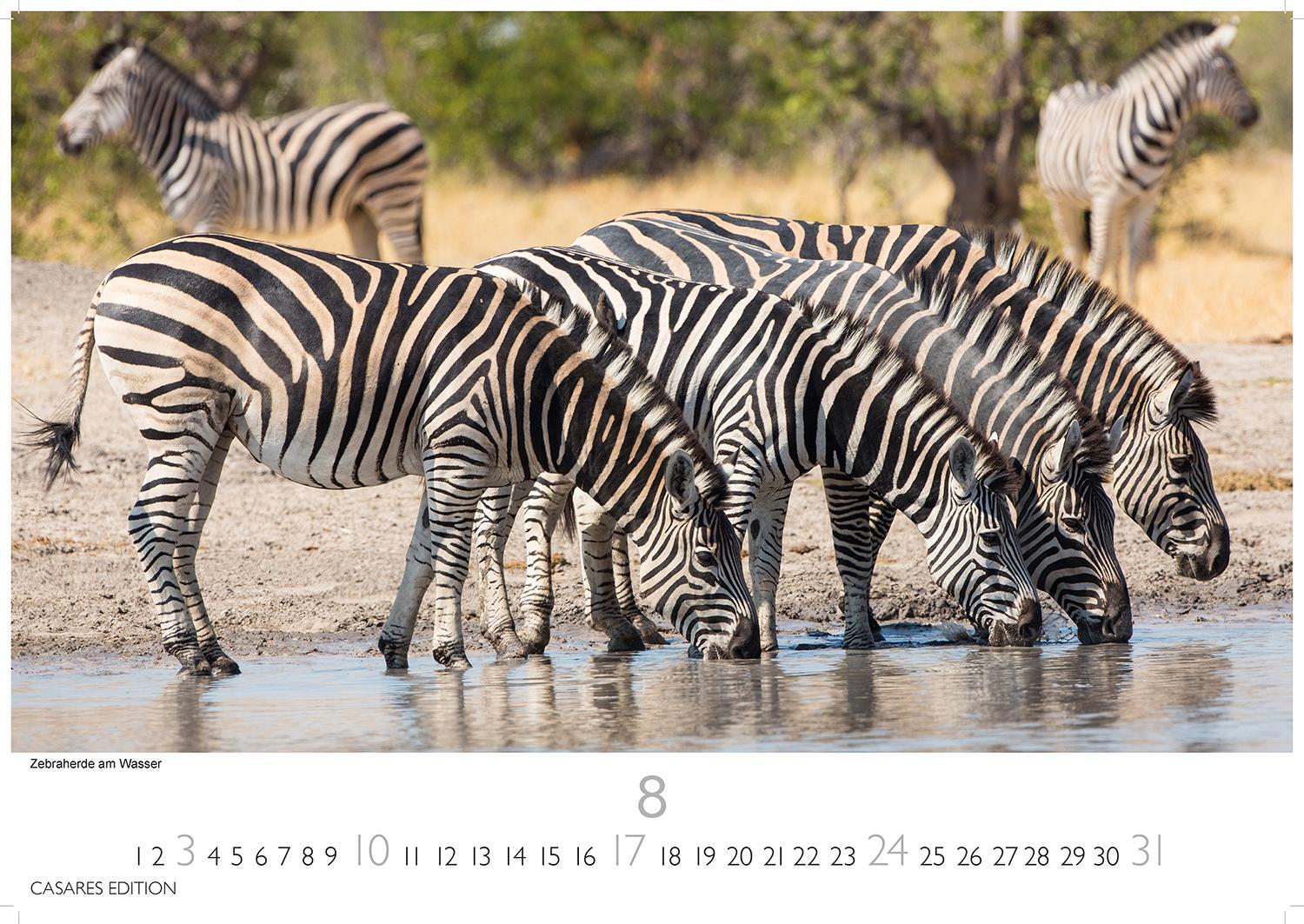 Bild: 9781835240649 | Südafrika 2025 L 35x50cm | Kalender | 14 S. | Deutsch | 2025