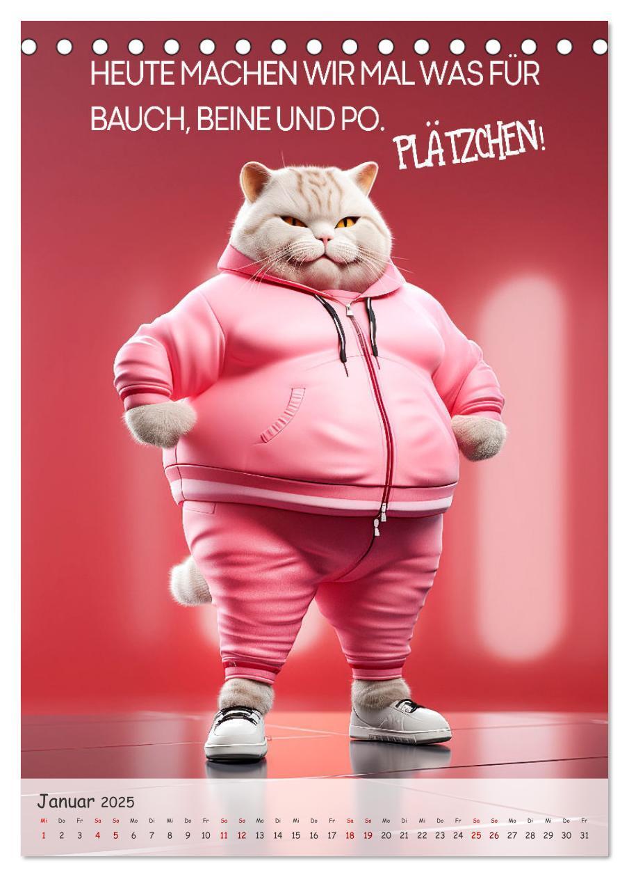 Bild: 9783383771507 | COOLE KATZEN Sprücheklopfer (Tischkalender 2025 DIN A5 hoch),...