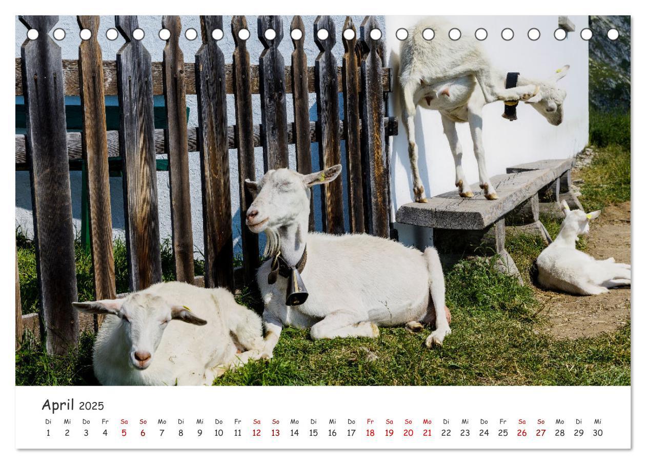 Bild: 9783435103539 | Der Kanton Wallis - einfach liebenswert (Tischkalender 2025 DIN A5...