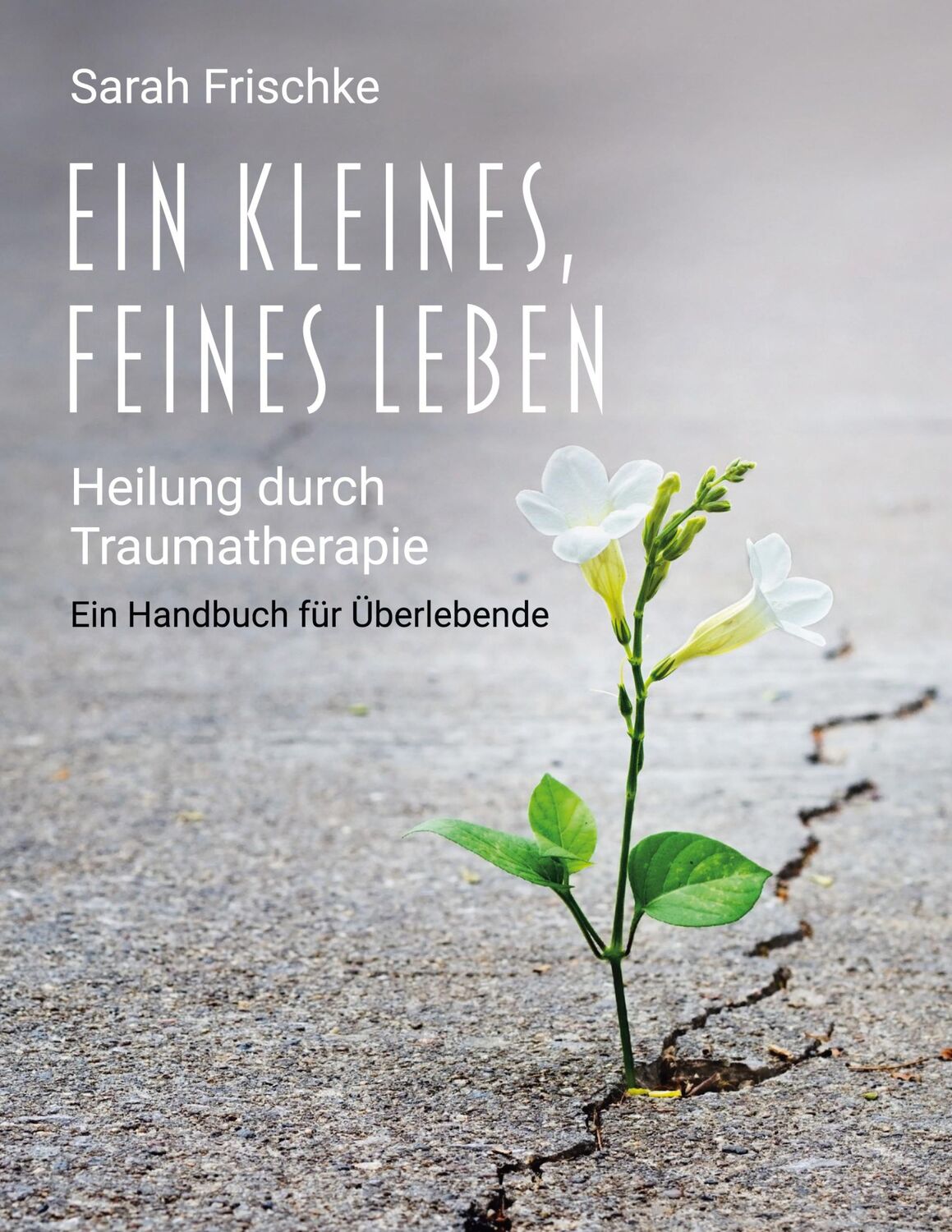 Cover: 9783756213535 | Ein kleines, feines Leben | Sarah Frischke | Taschenbuch | Paperback