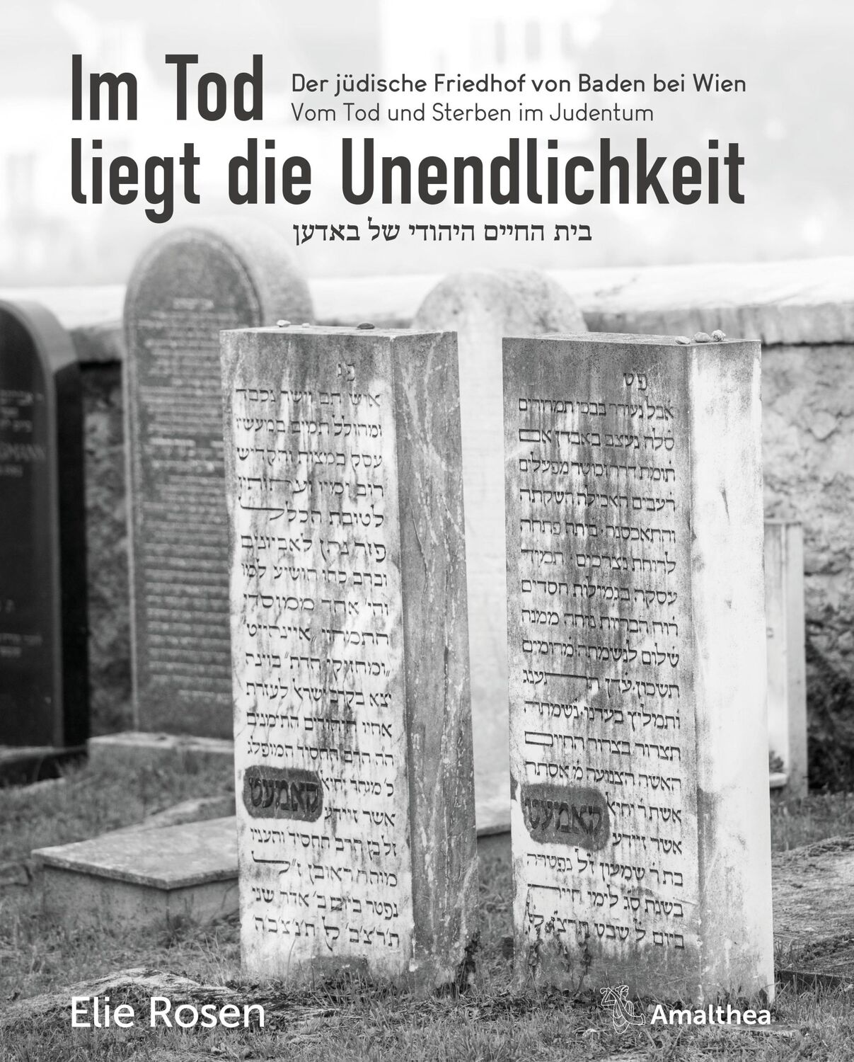 Cover: 9783990502457 | Im Tod liegt die Unendlichkeit | Elie Rosen | Buch | 528 S. | Deutsch