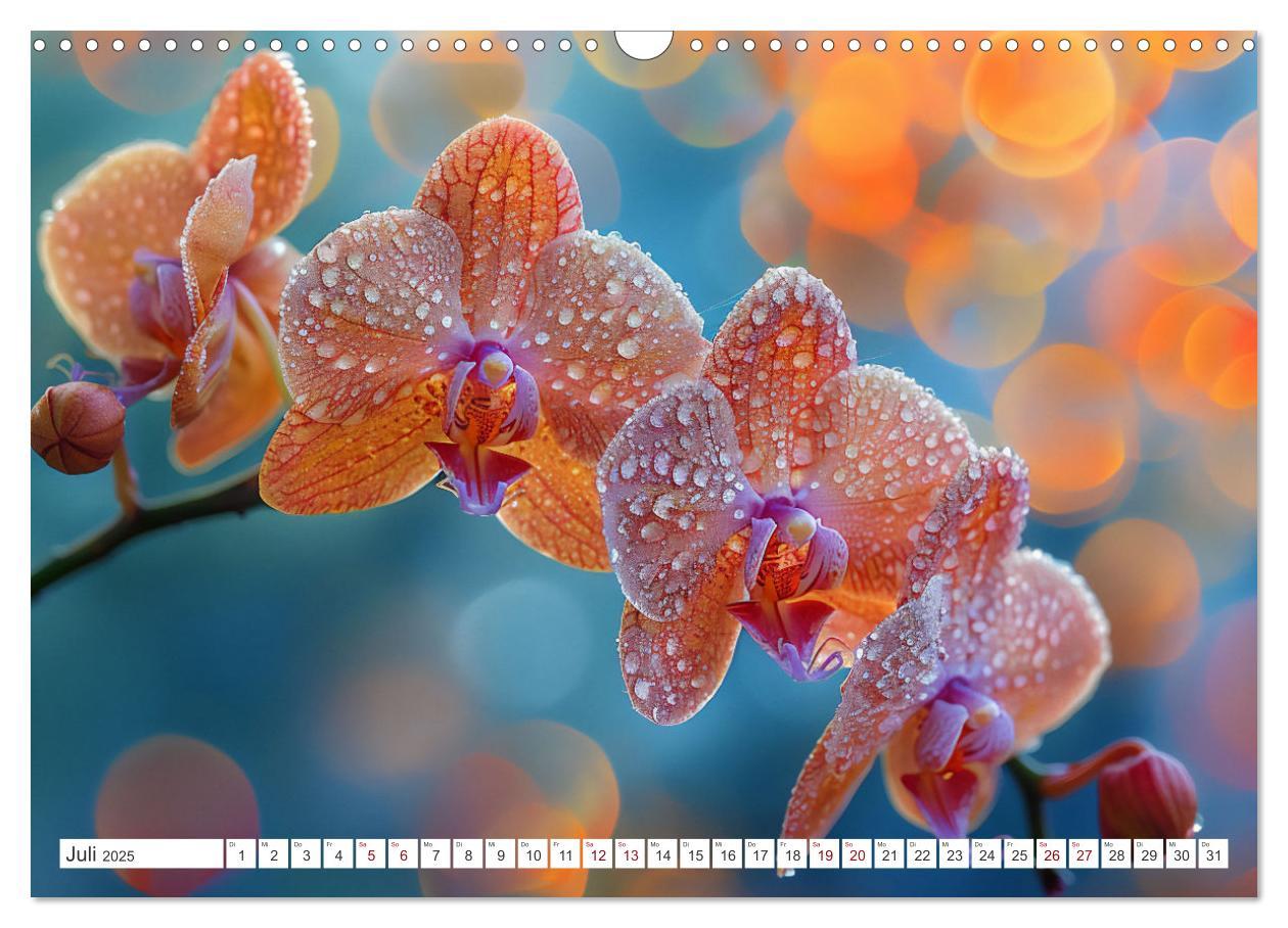 Bild: 9783457165126 | Orchideen - farbenfroh durchs Jahr (Wandkalender 2025 DIN A3 quer),...