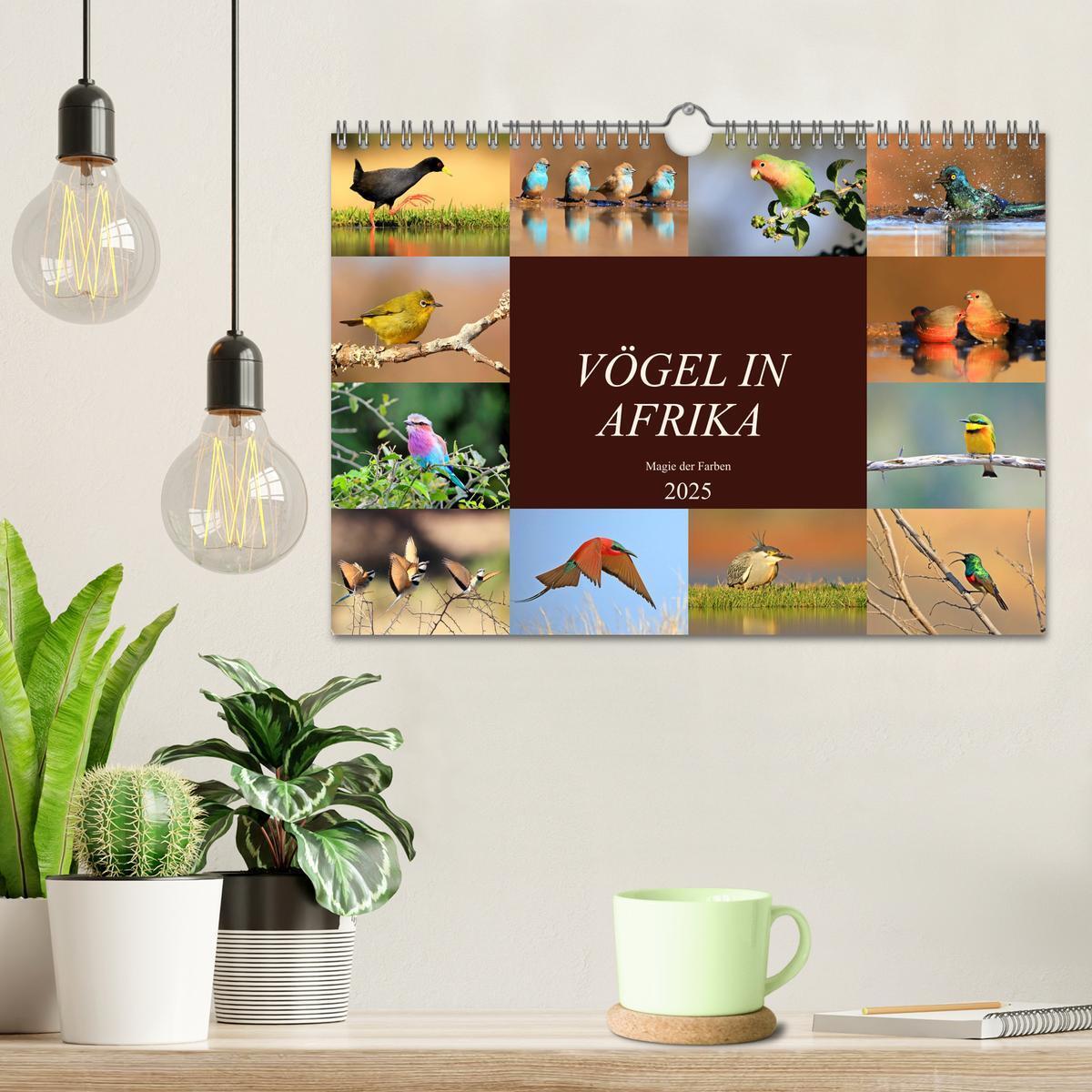 Bild: 9783435697809 | Vögel in Afrika - Magie der Farben (Wandkalender 2025 DIN A4 quer),...