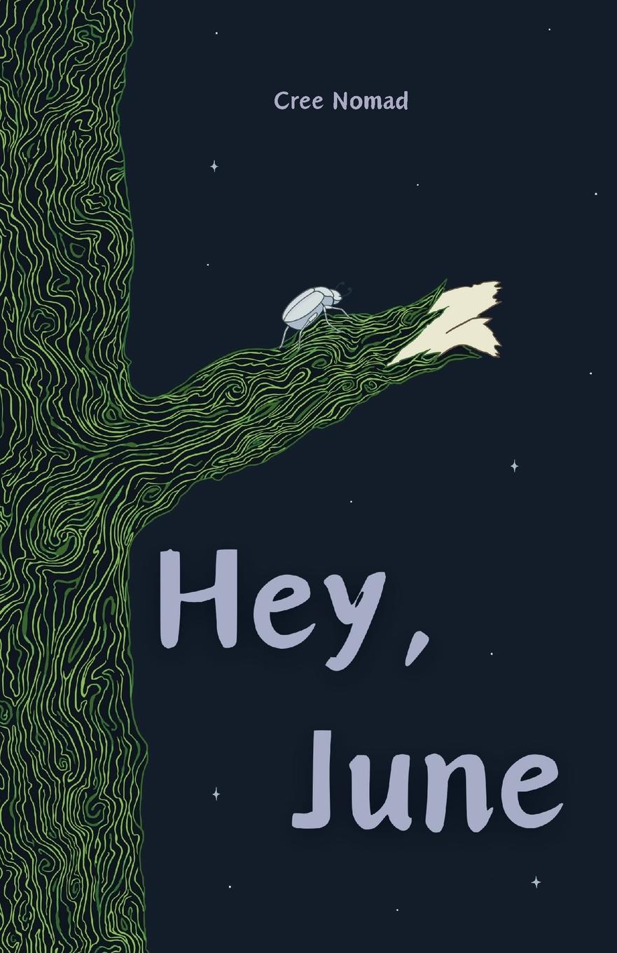 Cover: 9781738315307 | Hey, June | Cree Nomad | Taschenbuch | Paperback | Englisch | 2024