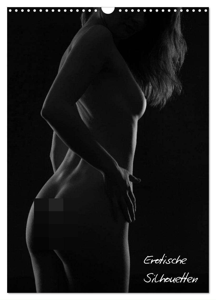 Cover: 9783457080955 | Erotische Silhouetten / CH-Version (Wandkalender 2025 DIN A3 hoch),...