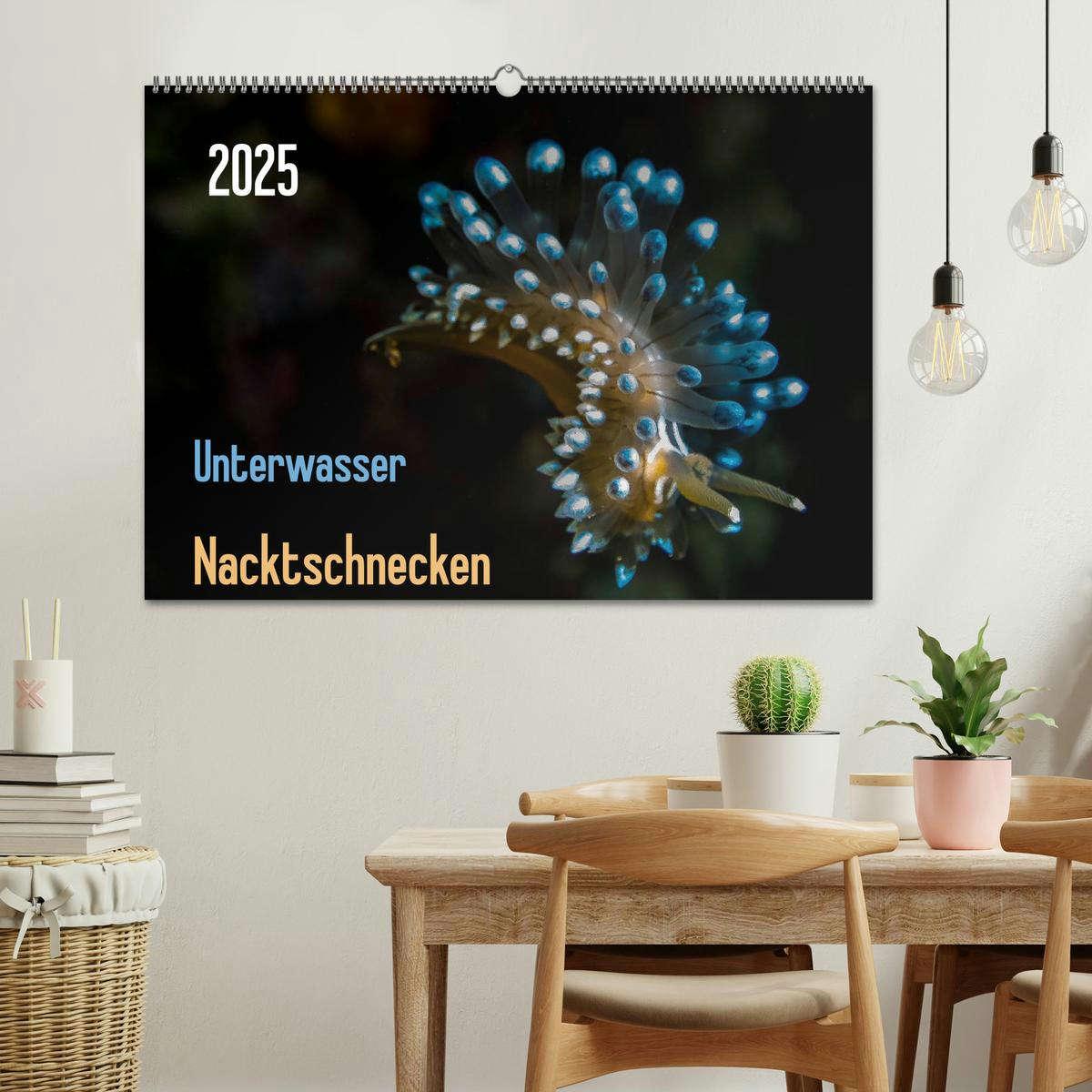 Bild: 9783435592234 | Unterwasser - Nacktschnecken 2025 (Wandkalender 2025 DIN A2 quer),...