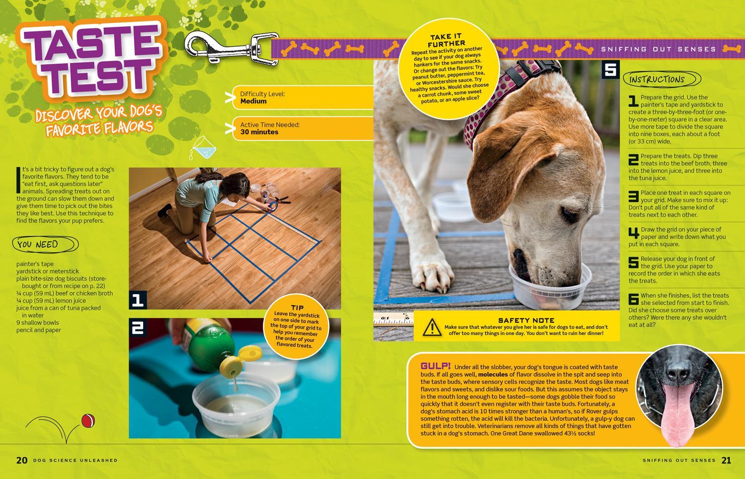 Bild: 9781426331534 | Dog Science Unleashed | National Geographic Kids (u. a.) | Taschenbuch