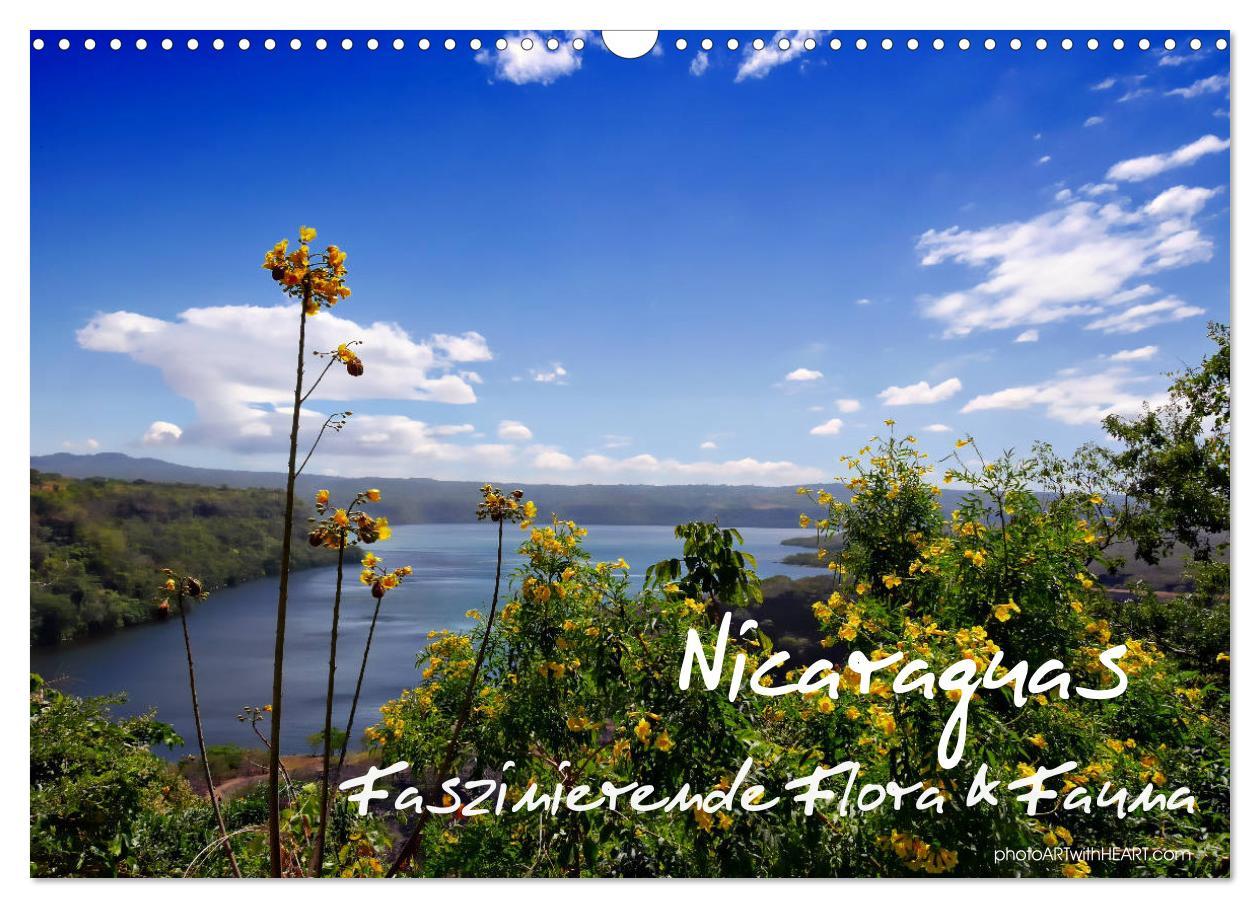 Cover: 9783435432837 | Nicaraguas faszinierende Flora &amp; Fauna (Wandkalender 2025 DIN A3...