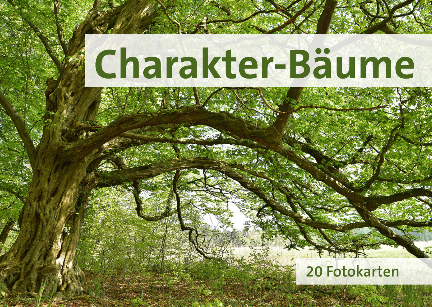 Cover: 4260098550429 | Charakter-Bäume | 20 Fotokarten | Quelle &amp; Meyer Verlag | Geklebt