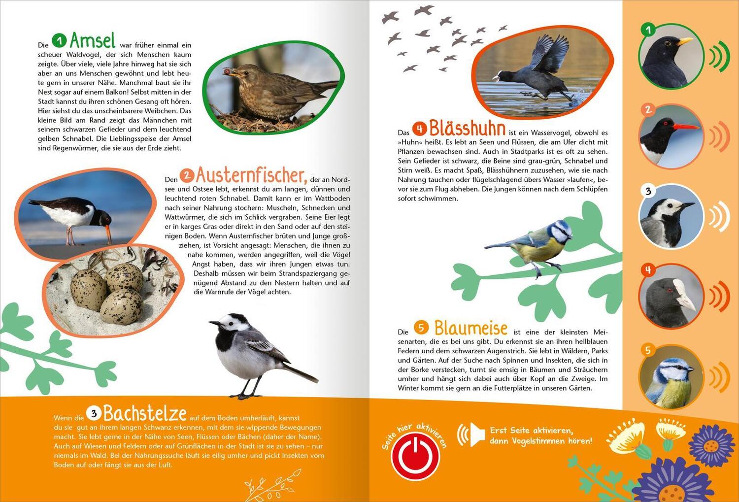 Bild: 9783845852669 | Mein großes Soundbuch Vögel | Mit 35 heimischen Vogelstimmen | Wagner