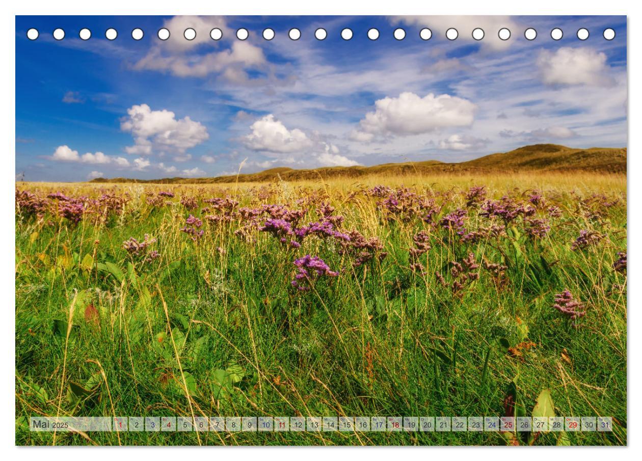 Bild: 9783435105908 | Texel - Kleine Insel, große Vielfalt (Tischkalender 2025 DIN A5...