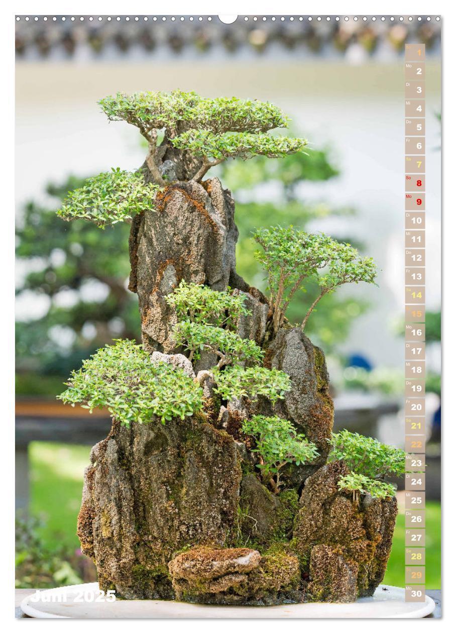 Bild: 9783435851881 | Bonsai: Gartenkunst im Kleinen (Wandkalender 2025 DIN A2 hoch),...