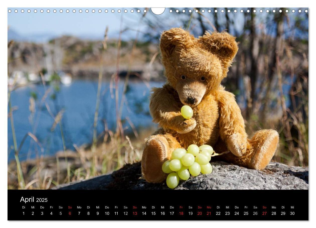 Bild: 9783435674084 | Teddy Basse, Fortsetzung... (Wandkalender 2025 DIN A3 quer),...