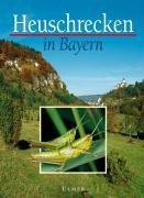 Cover: 9783800138838 | Heuschrecken in Bayern | Helmut Schlumprecht | Buch | 480 S. | Deutsch