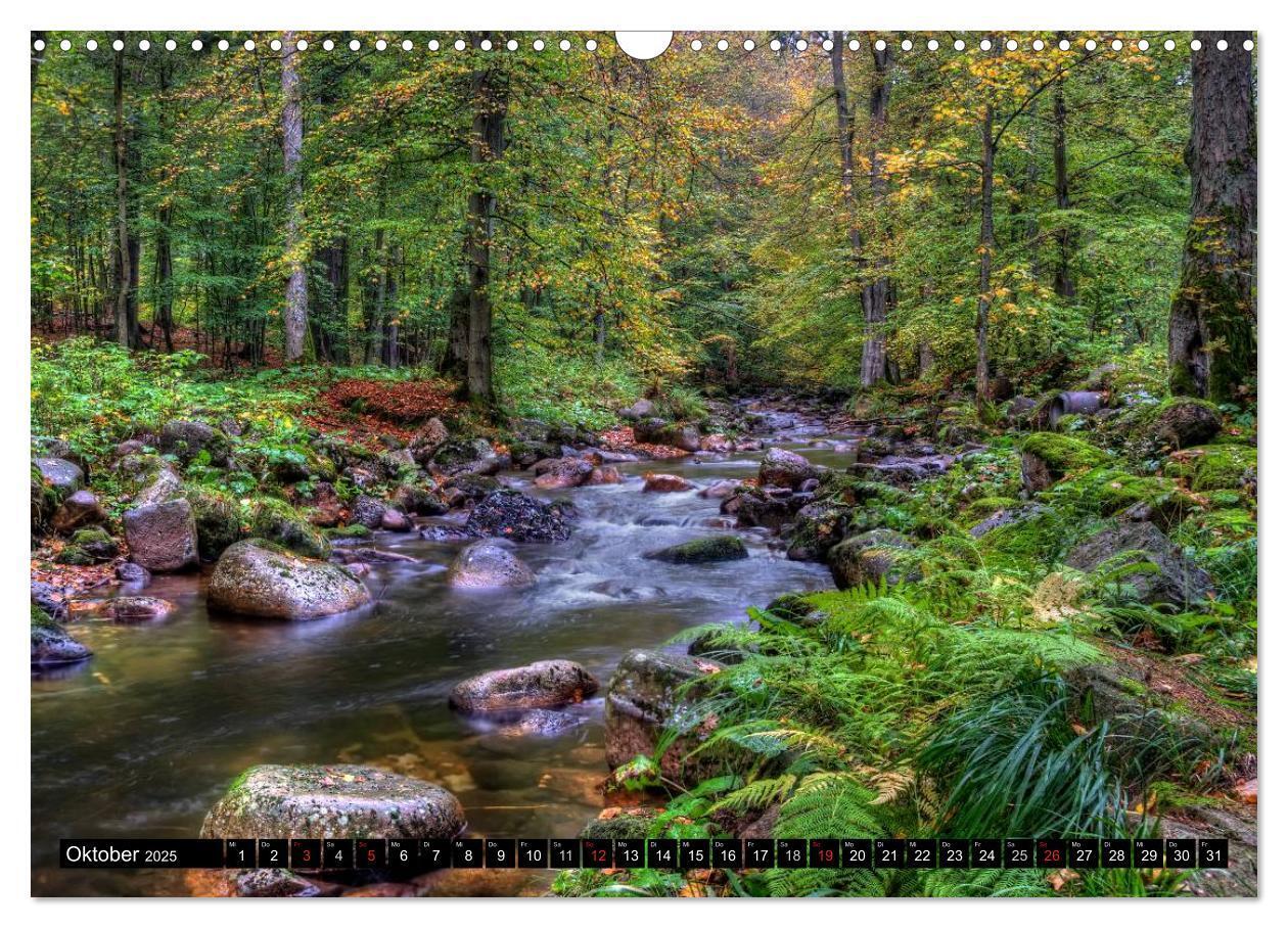 Bild: 9783435789573 | Harz Landschaften (Wandkalender 2025 DIN A3 quer), CALVENDO...