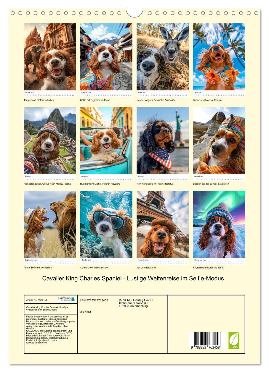 Bild: 9783383763458 | Cavalier King Charles Spaniel - Lustige Weltenreise im Selfie-Modus...