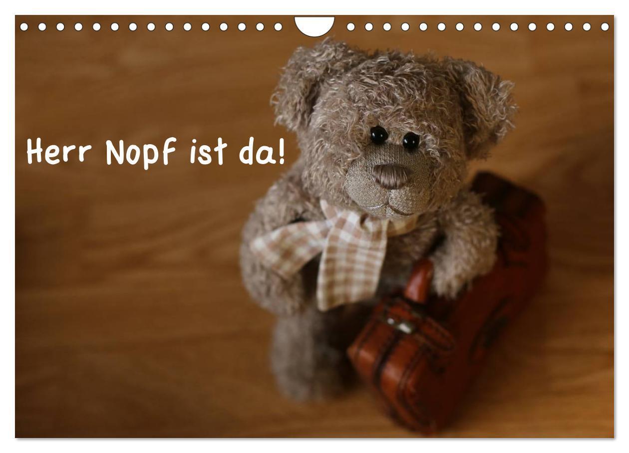 Cover: 9783435696109 | Herr Nopf ist da! (Wandkalender 2025 DIN A4 quer), CALVENDO...