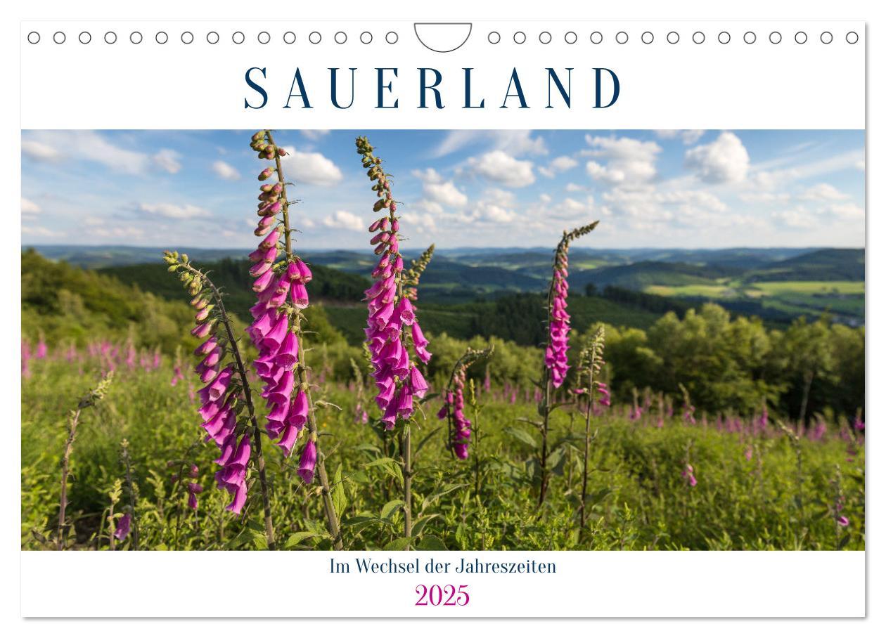 Cover: 9783435019083 | Das Sauerland im Wechsel der Jahreszeiten (Wandkalender 2025 DIN A4...