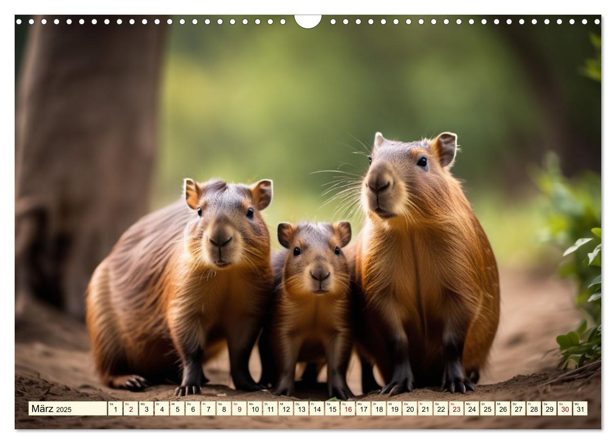 Bild: 9783457143780 | Capybaras - Wasserschweine die Herren der Gräser (Wandkalender 2025...