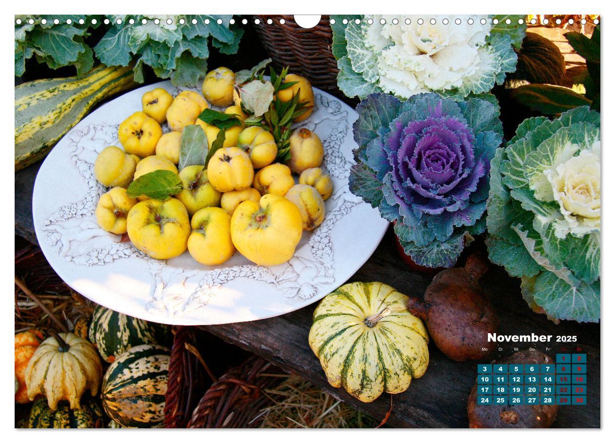 Bild: 9783383989124 | Urlaub im Garten (Wandkalender 2025 DIN A3 quer), CALVENDO...