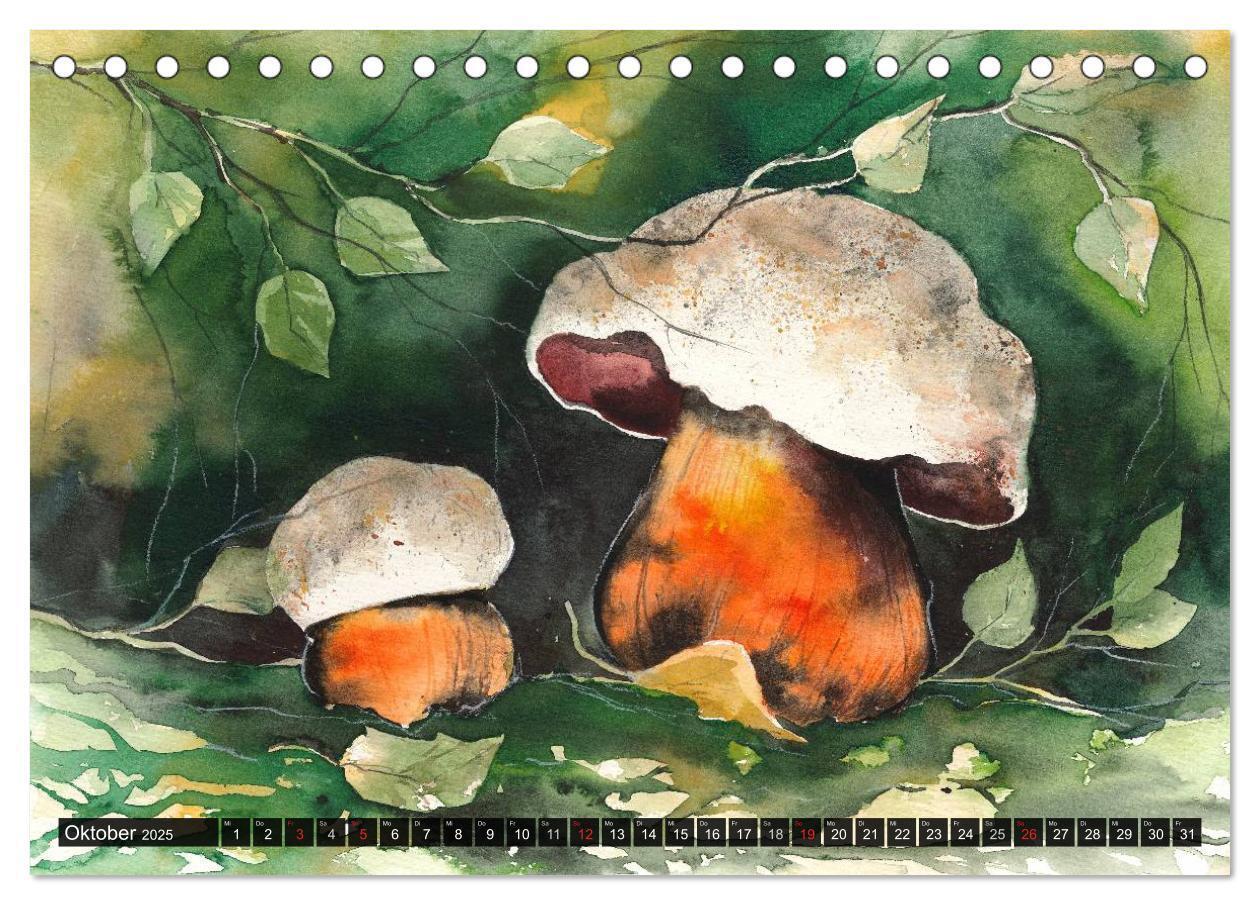 Bild: 9783435593545 | Pilze in Aquarell (Tischkalender 2025 DIN A5 quer), CALVENDO...