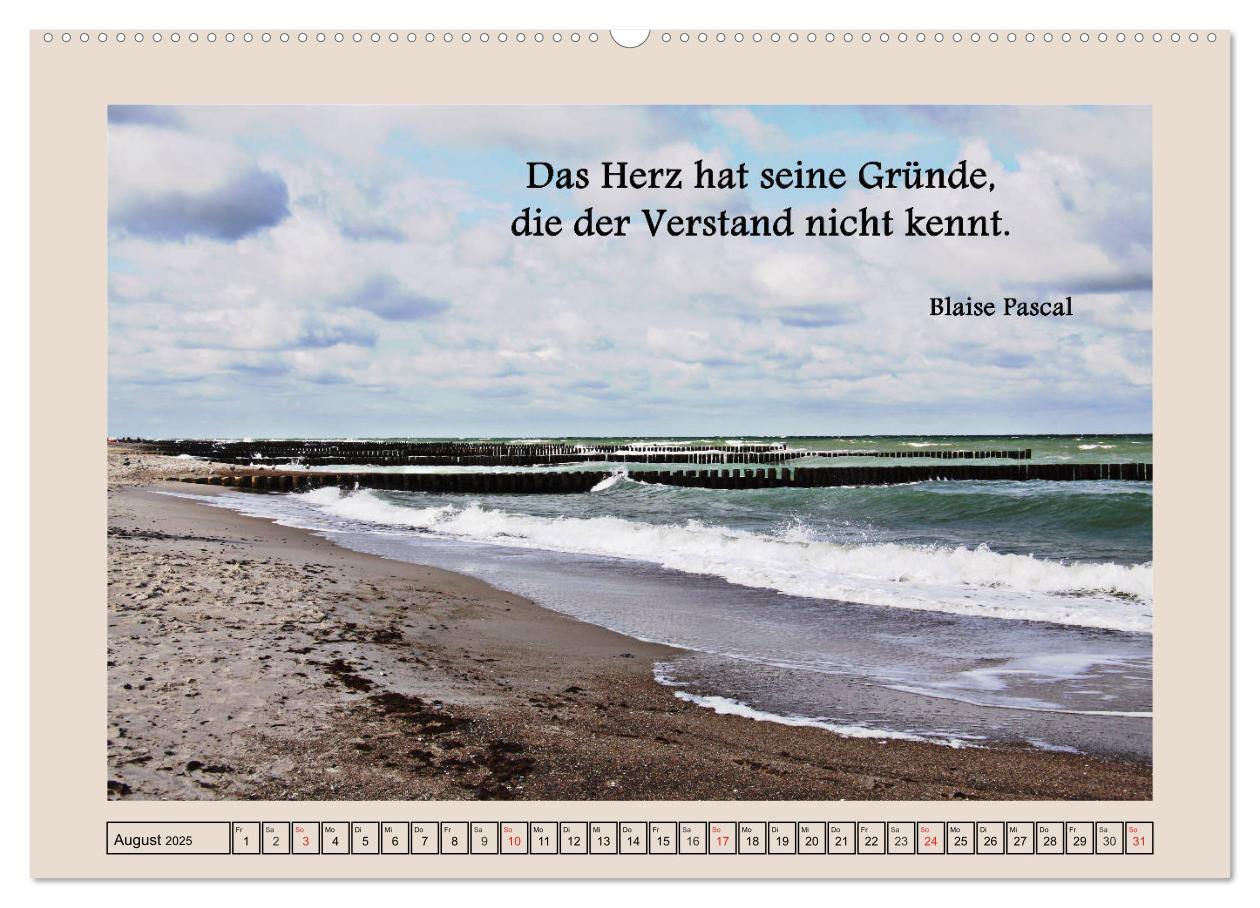 Bild: 9783435297573 | Zitate und Weisheiten (Wandkalender 2025 DIN A2 quer), CALVENDO...