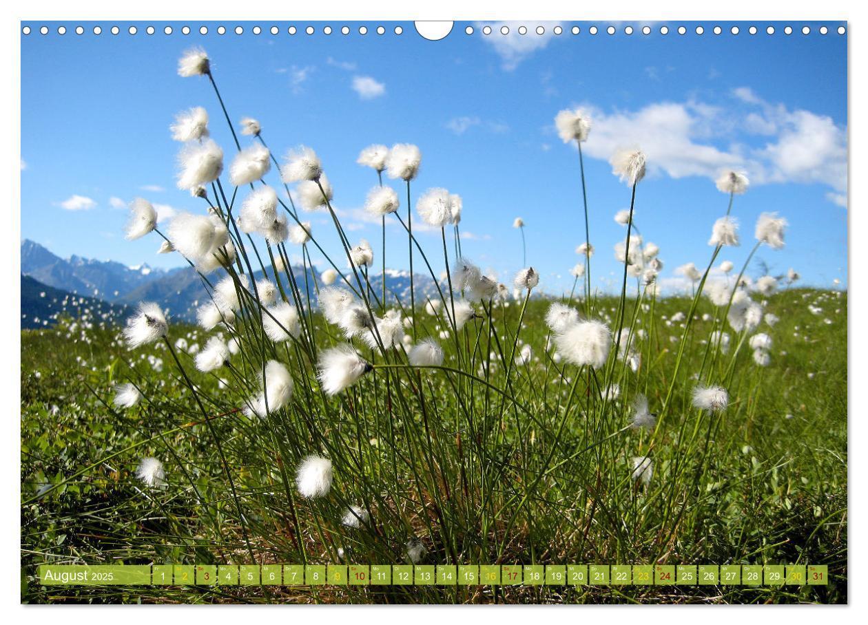 Bild: 9783435003853 | E5 - ZU FUSS ÜBER DIE ALPEN VON OBERSTDORF NACH MERAN (Wandkalender...