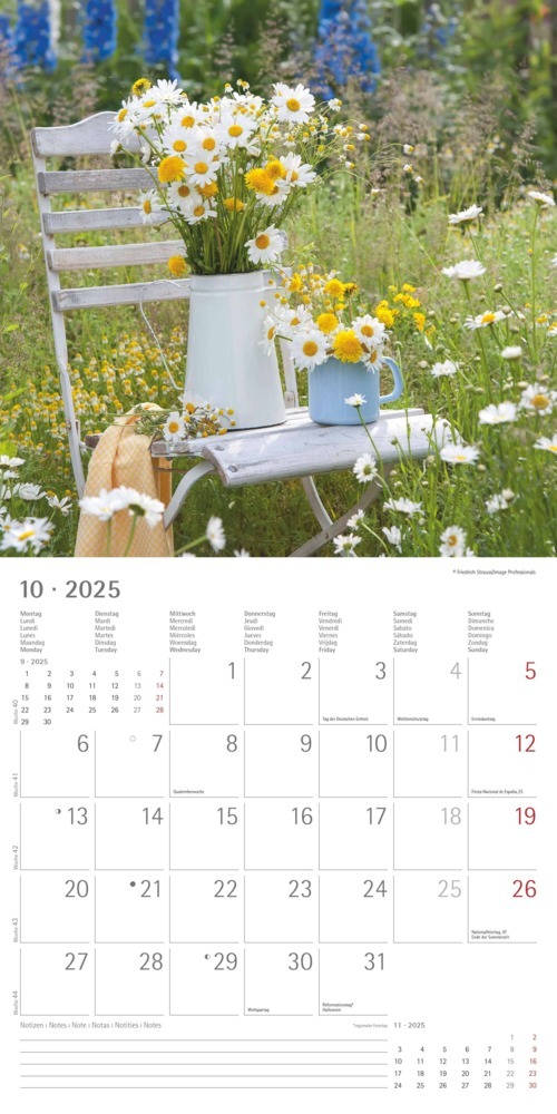 Bild: 4251732340636 | Alpha Edition - Garden &amp; Decoration 2025 Broschürenkalender,...