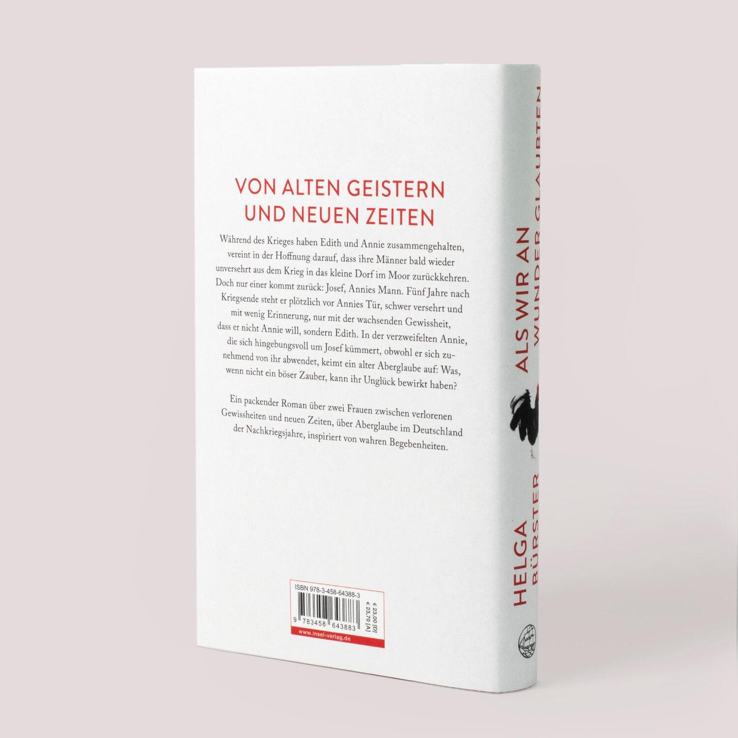 Bild: 9783458643883 | Als wir an Wunder glaubten | Roman | Helga Bürster | Buch | 285 S.