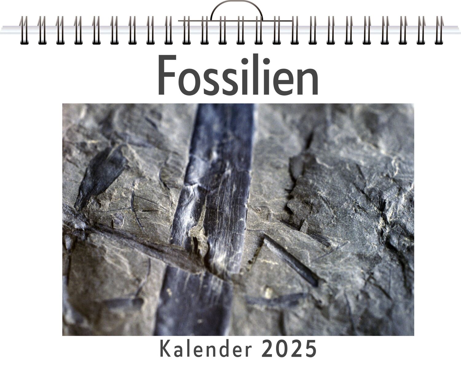 Cover: 9783759122575 | Fossilien - (Wandkalender 2025, Kalender DIN A4 quer,...