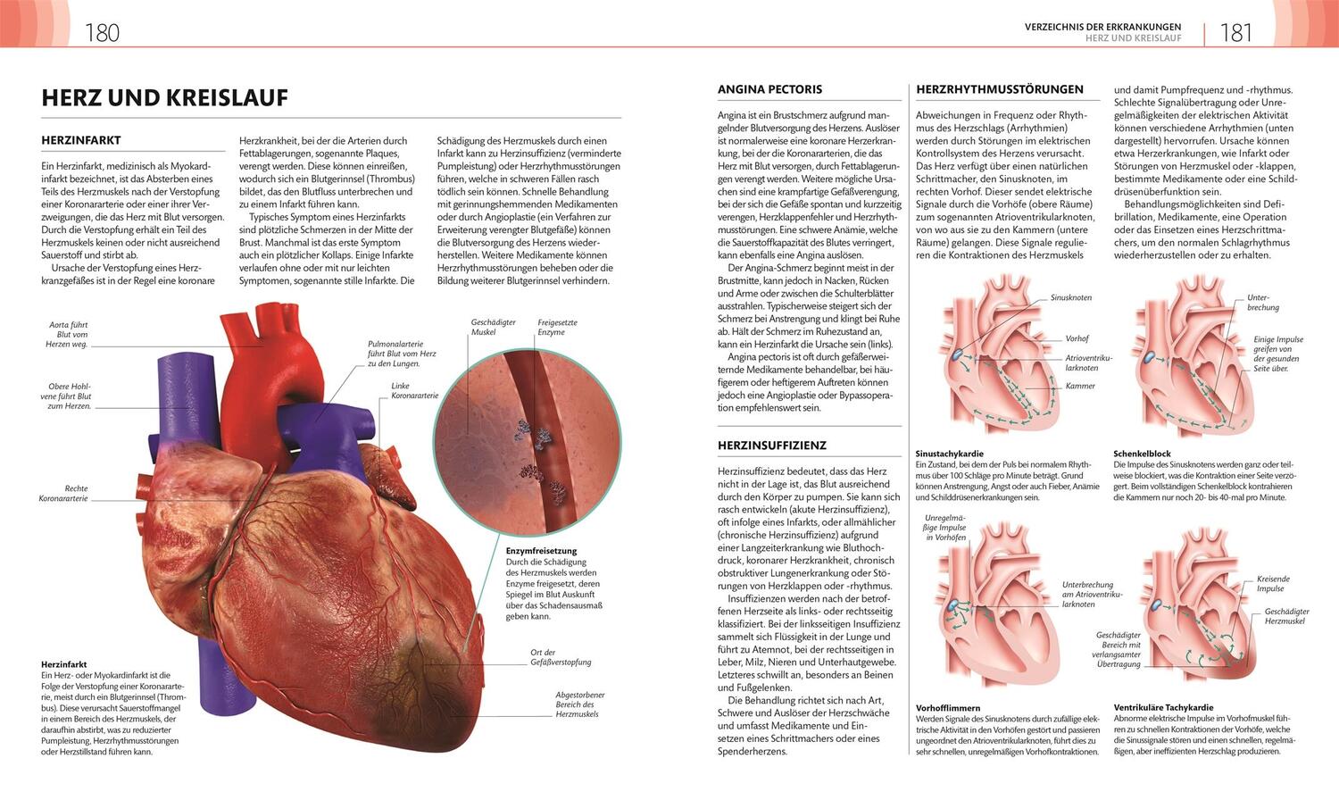 Bild: 9783831046911 | Mein Gesundheits-Check | Dina Kaufman (u. a.) | Taschenbuch | 256 S.