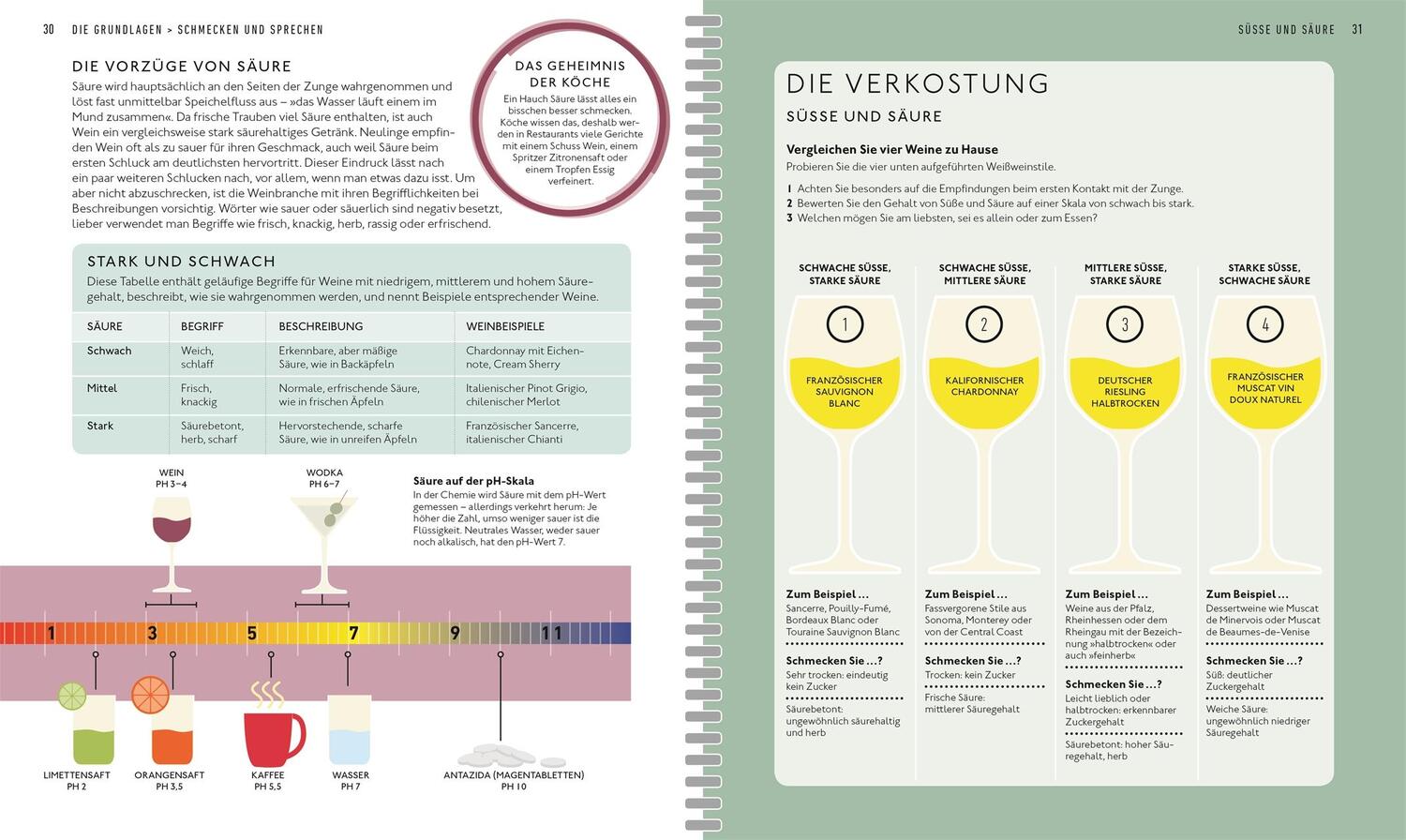 Bild: 9783831040100 | Workshop Wein | Entdecken, Verkosten, Genießen | Marnie Old | Buch