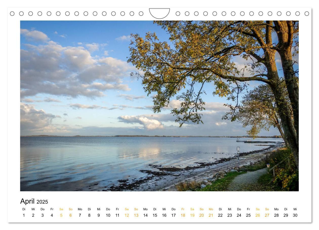 Bild: 9783435152896 | Fernweh Ostsee (Wandkalender 2025 DIN A4 quer), CALVENDO...