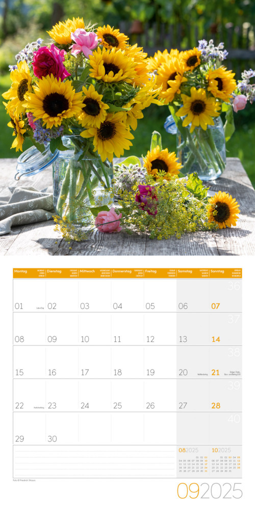 Bild: 9783838445304 | In meinem Garten Kalender 2025 - 30x30 | Ackermann Kunstverlag | 28 S.