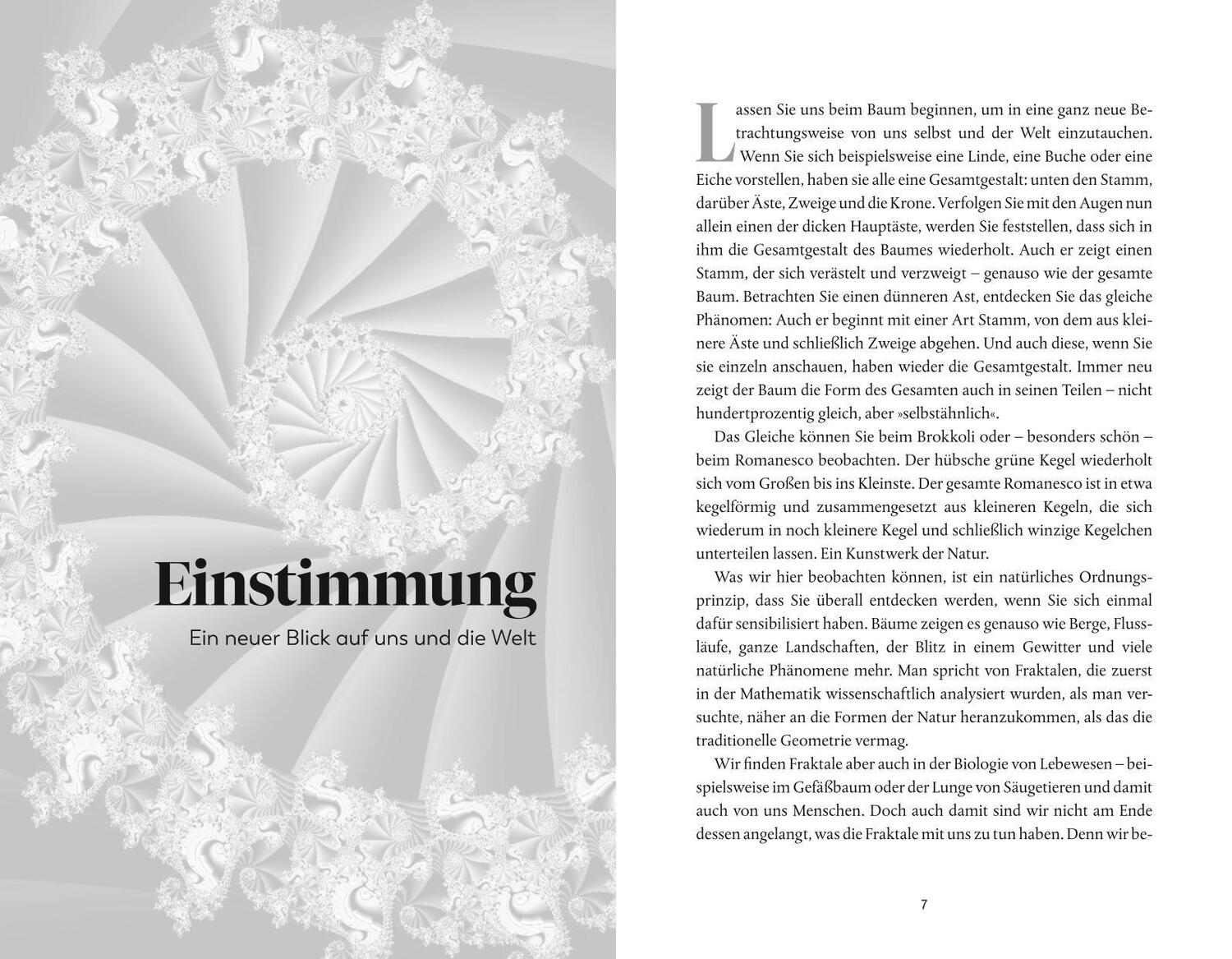 Bild: 9783833888311 | Geometrie der Seele | Christian Schubert | Buch | 208 S. | Deutsch