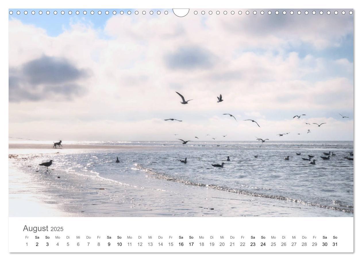 Bild: 9783435219629 | Nordfriesland (Wandkalender 2025 DIN A3 quer), CALVENDO Monatskalender