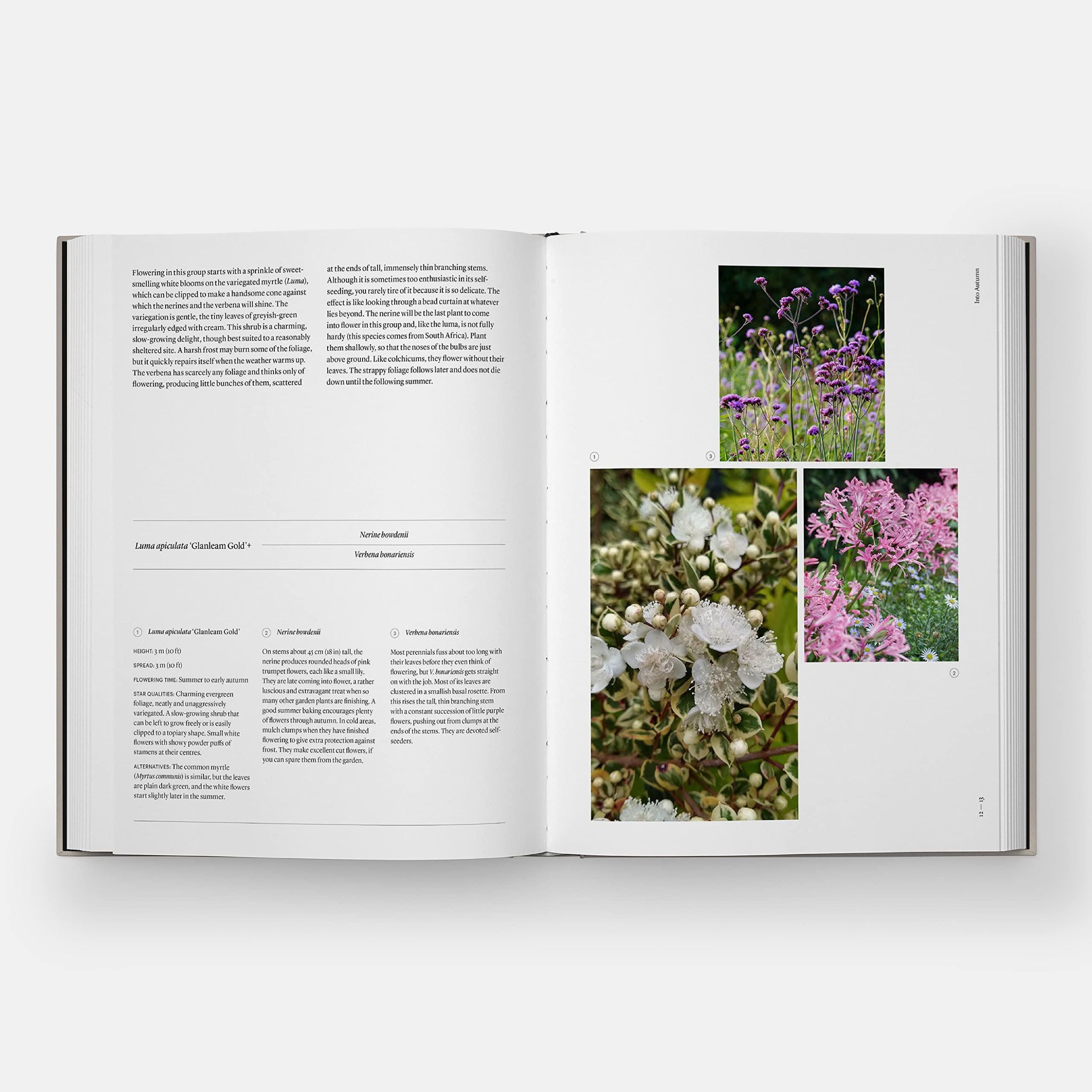 Bild: 9781838663988 | The Seasonal Gardener | Creative Planting Combinations | Anna Pavord