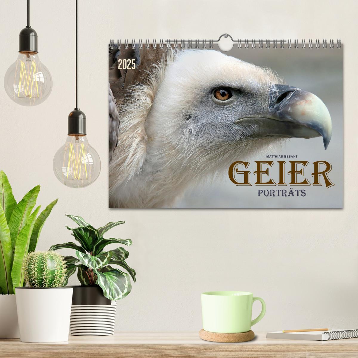 Bild: 9783435085248 | GEIERPORTRÄTS (Wandkalender 2025 DIN A4 quer), CALVENDO Monatskalender