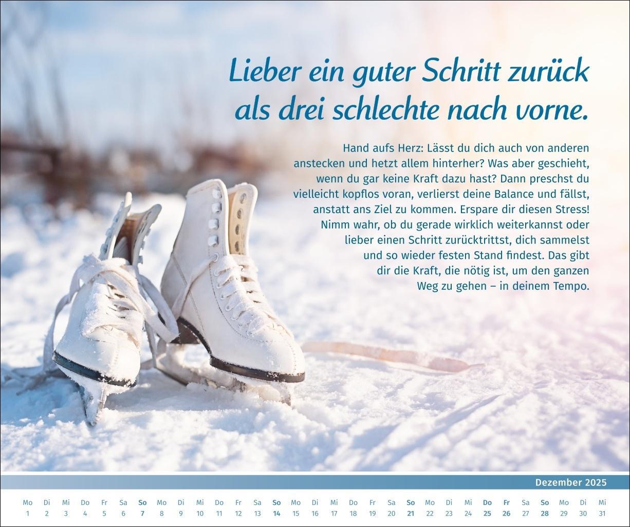 Bild: 9783840196089 | PAL - Der Lebensfreude-Inspirationen-Kalender 2025 | Pal | Kalender