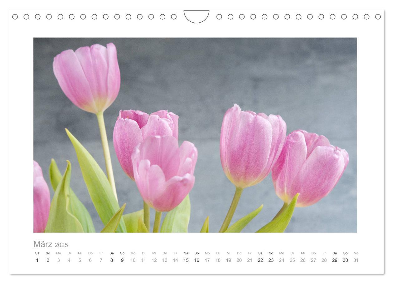 Bild: 9783435458745 | Blumen zart und schön (Wandkalender 2025 DIN A4 quer), CALVENDO...