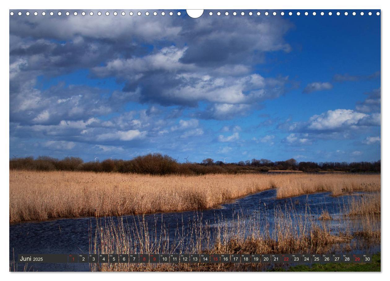 Bild: 9783435158133 | Leben am Naturpark um den Dümmer See (Wandkalender 2025 DIN A3...