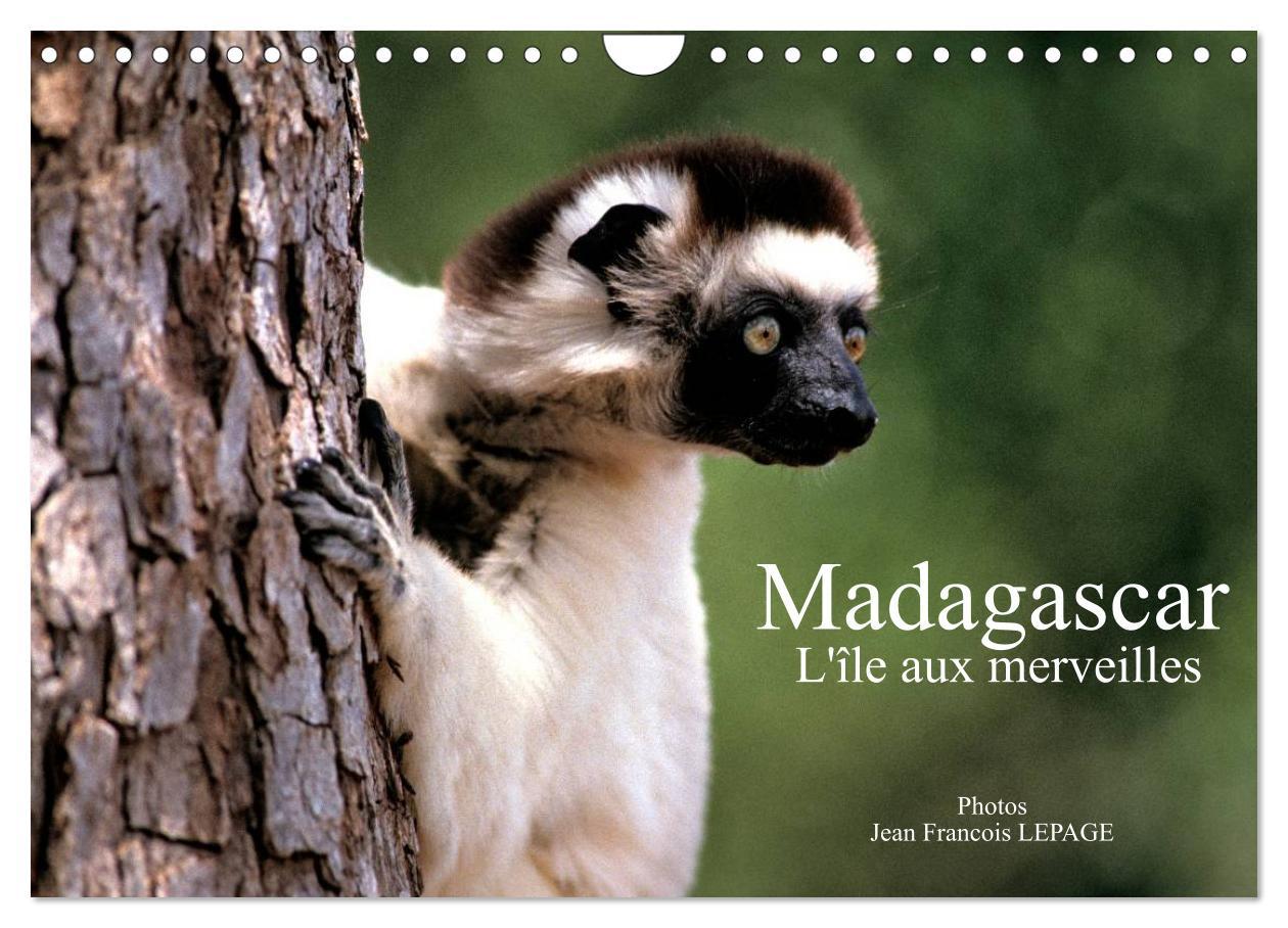 Cover: 9781325960613 | Madagascar L'île aux merveilles (Calendrier mural 2025 DIN A4...