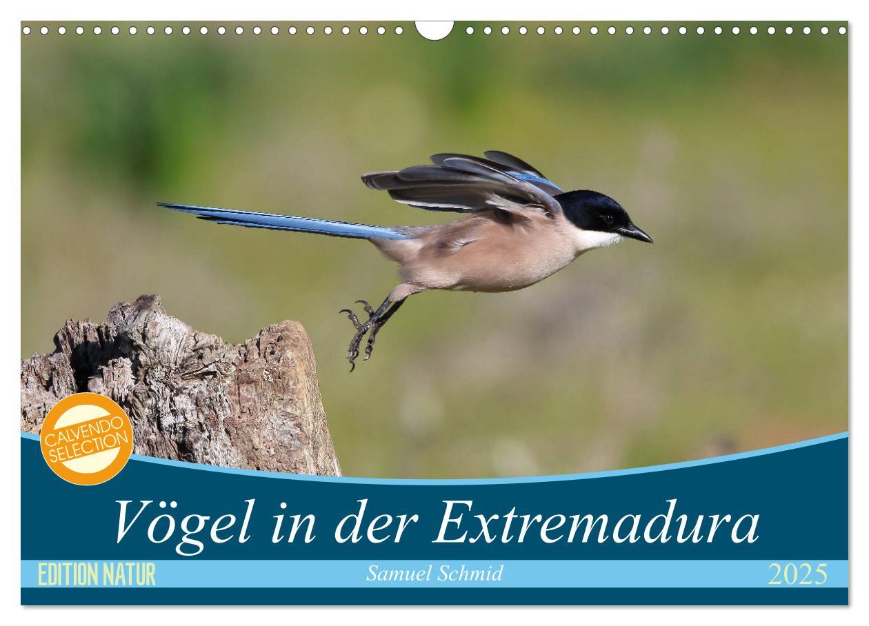 Cover: 9783435414819 | Vögel in der Extremadura (Wandkalender 2025 DIN A3 quer), CALVENDO...