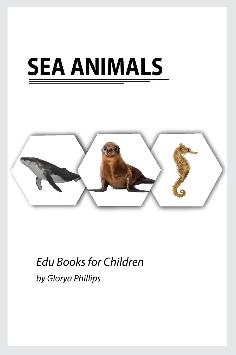 Cover: 9788307567891 | Sea Animals | Glorya Phillips | Taschenbuch | Englisch | 2021