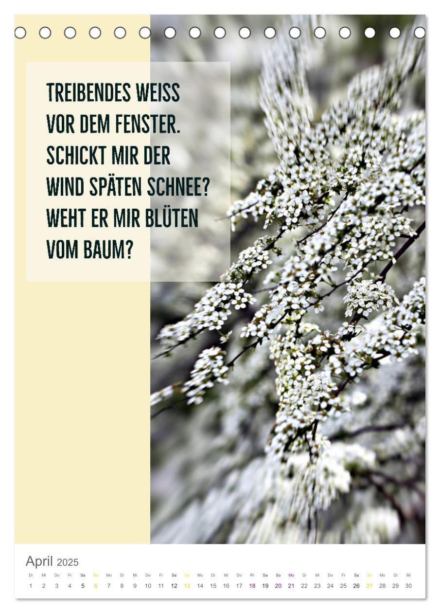 Bild: 9783435937936 | Tagesfarben - Poesie in Wort und Bild (Tischkalender 2025 DIN A5...