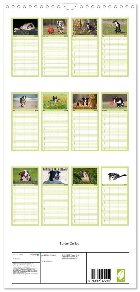 Bild: 9783457110454 | Familienplaner 2025 - Border Collies mit 5 Spalten (Wandkalender,...